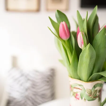 Via Marconi 3* San Vito al Tagliamento