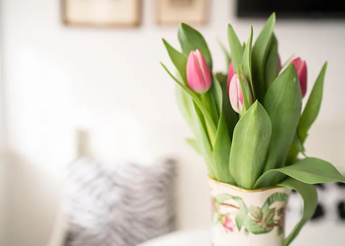 Via Marconi 3* San Vito al Tagliamento